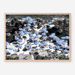 Shop La Fontelina I Photo Art Print a coastal themed photography wall art print from The Print Emporium wall artwork collection - Buy Australian made fine art poster and framed prints for the home and your interior decor, TPE-716-AP