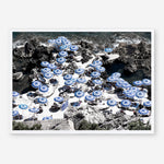 Shop La Fontelina I Photo Art Print a coastal themed photography wall art print from The Print Emporium wall artwork collection - Buy Australian made fine art poster and framed prints for the home and your interior decor, TPE-716-AP