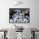 Shop La Fontelina III Photo Art Print a coastal themed photography wall art print from The Print Emporium wall artwork collection - Buy Australian made fine art poster and framed prints for the home and your interior decor, TPE-718-AP