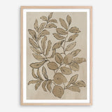Shop Leaves Sketches I Art Print a painted abstract themed wall art print from The Print Emporium wall artwork collection - Buy Australian made fine art painting style poster and framed prints for the home and your interior decor room, TPE-PC-JN588-AP