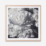 Shop Les Fleurs (Square) Art Print a floral themed painted wall art print from The Print Emporium wall artwork collection - Buy Australian made fine art painting style poster and framed prints for the home and your interior decor room, TPE-369-AP