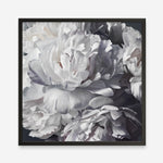 Shop Les Fleurs (Square) Art Print a floral themed painted wall art print from The Print Emporium wall artwork collection - Buy Australian made fine art painting style poster and framed prints for the home and your interior decor room, TPE-369-AP