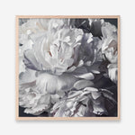 Shop Les Fleurs (Square) Art Print a floral themed painted wall art print from The Print Emporium wall artwork collection - Buy Australian made fine art painting style poster and framed prints for the home and your interior decor room, TPE-369-AP