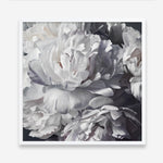 Shop Les Fleurs (Square) Art Print a floral themed painted wall art print from The Print Emporium wall artwork collection - Buy Australian made fine art painting style poster and framed prints for the home and your interior decor room, TPE-369-AP