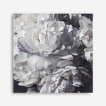 Shop Les Fleurs (Square) Canvas Print a floral themed painted framed canvas wall art print from The Print Emporium artwork collection - Buy Australian made fine art painting style stretched canvas prints for the home and your interior decor space, TPE-369-CA-40X40-NF