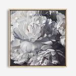 Shop Les Fleurs (Square) Canvas Print a floral themed painted framed canvas wall art print from The Print Emporium artwork collection - Buy Australian made fine art painting style stretched canvas prints for the home and your interior decor space, TPE-369-CA-40X40-NF