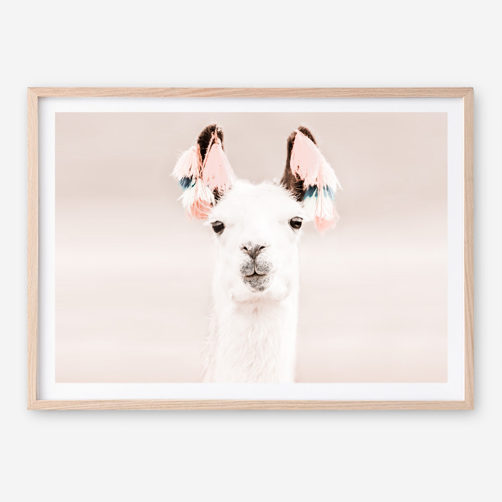 Shop Llama Photo Art Print a Moroccan desert boho themed photography wall art print from The Print Emporium wall artwork collection - Buy Australian made fine art poster and framed prints for the home and your interior decor room, TPE-556-AP