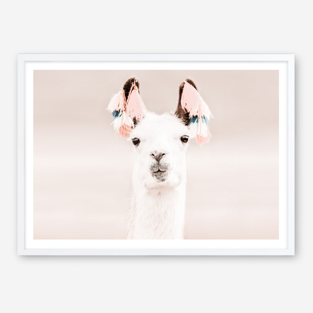 Shop Llama Photo Art Print a Moroccan desert boho themed photography wall art print from The Print Emporium wall artwork collection - Buy Australian made fine art poster and framed prints for the home and your interior decor room, TPE-556-AP