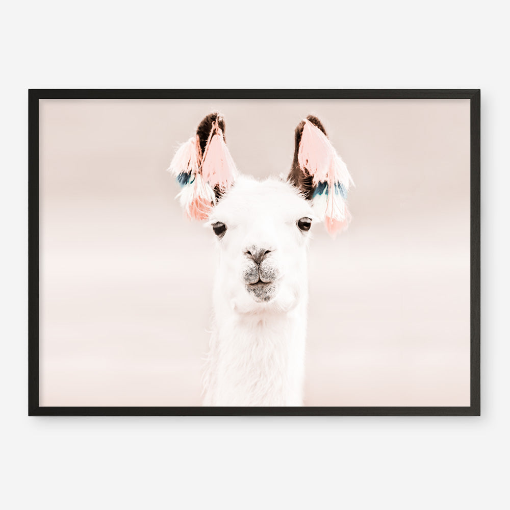 Shop Llama Photo Art Print a Moroccan desert boho themed photography wall art print from The Print Emporium wall artwork collection - Buy Australian made fine art poster and framed prints for the home and your interior decor room, TPE-556-AP