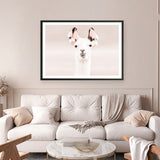 Shop Llama Photo Art Print a Moroccan desert boho themed photography wall art print from The Print Emporium wall artwork collection - Buy Australian made fine art poster and framed prints for the home and your interior decor room, TPE-556-AP