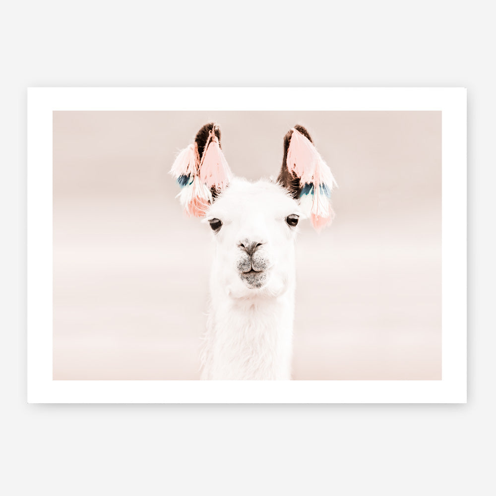 Shop Llama Photo Art Print a Moroccan desert boho themed photography wall art print from The Print Emporium wall artwork collection - Buy Australian made fine art poster and framed prints for the home and your interior decor room, TPE-556-AP
