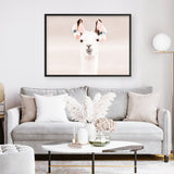 Shop Llama Photo Art Print a Moroccan desert boho themed photography wall art print from The Print Emporium wall artwork collection - Buy Australian made fine art poster and framed prints for the home and your interior decor room, TPE-556-AP