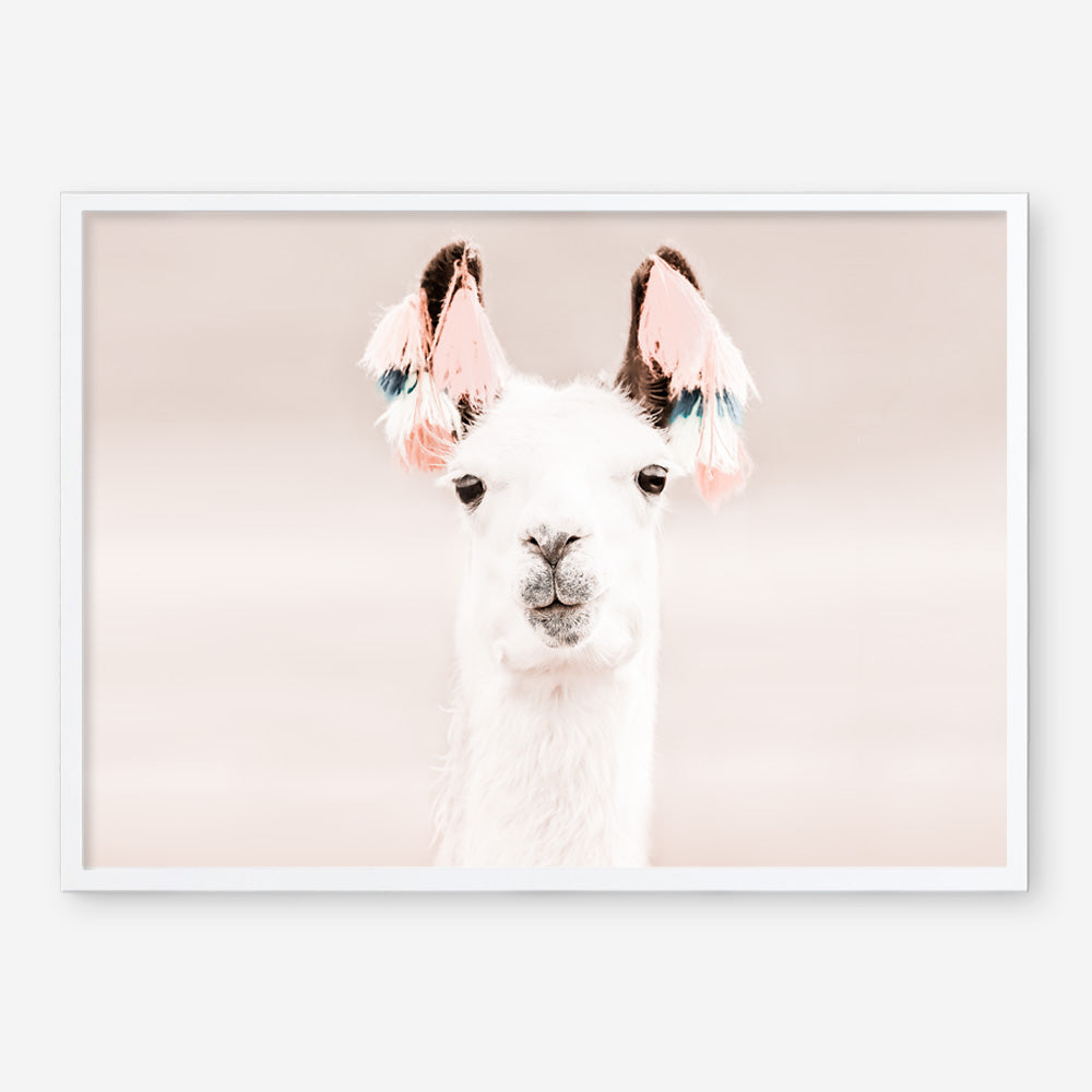 Shop Llama Photo Art Print a Moroccan desert boho themed photography wall art print from The Print Emporium wall artwork collection - Buy Australian made fine art poster and framed prints for the home and your interior decor room, TPE-556-AP