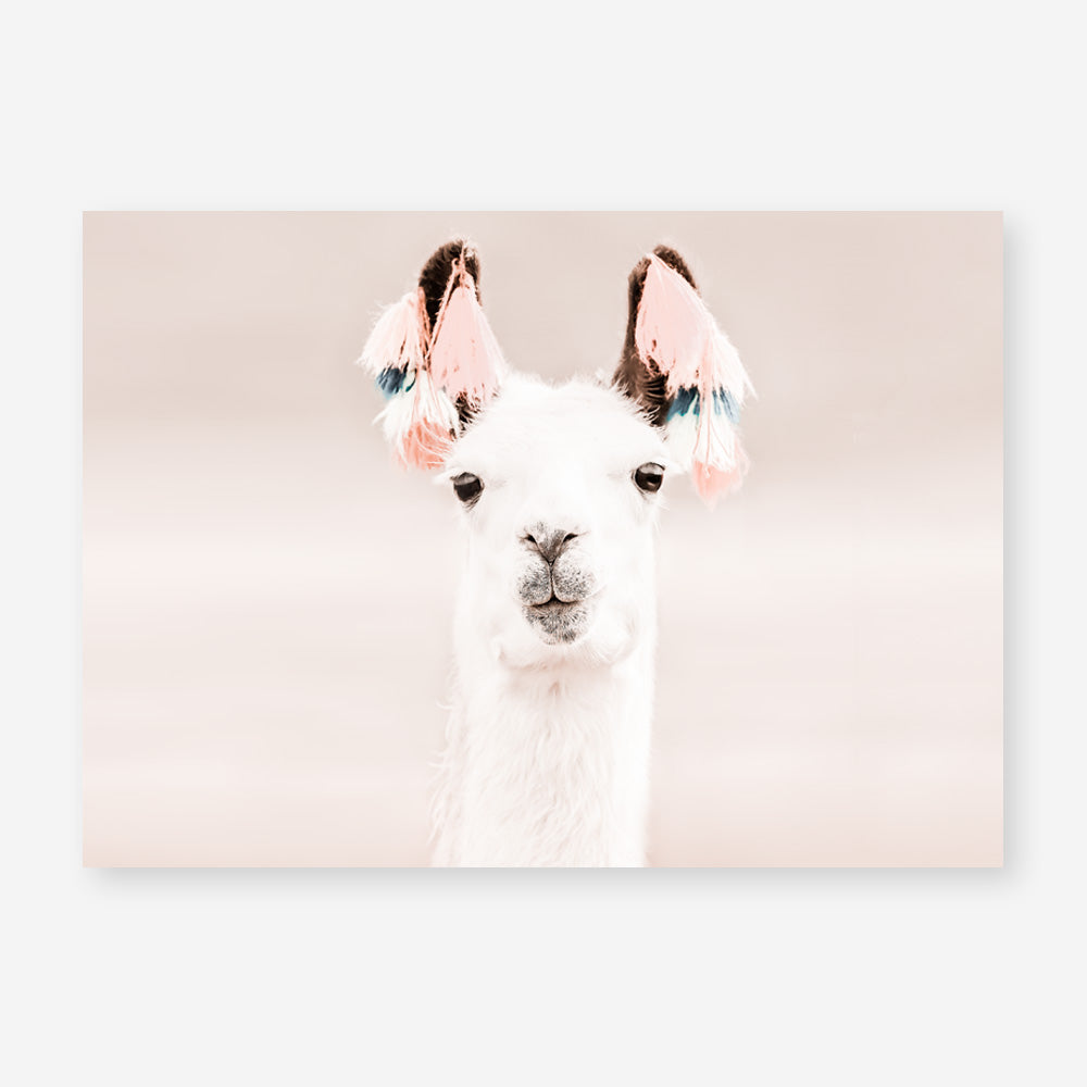 Shop Llama Photo Art Print a Moroccan desert boho themed photography wall art print from The Print Emporium wall artwork collection - Buy Australian made fine art poster and framed prints for the home and your interior decor room, TPE-556-AP