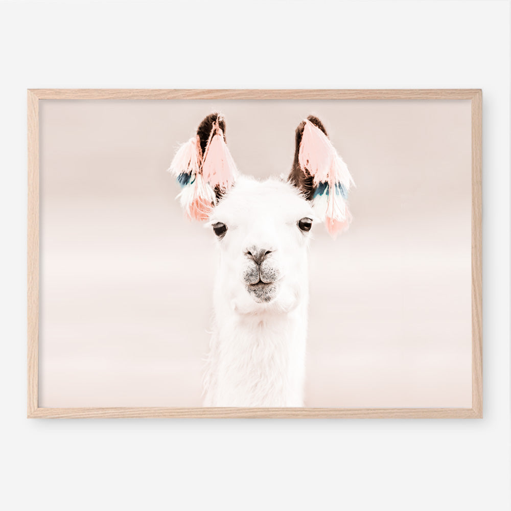 Shop Llama Photo Art Print a Moroccan desert boho themed photography wall art print from The Print Emporium wall artwork collection - Buy Australian made fine art poster and framed prints for the home and your interior decor room, TPE-556-AP