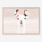 Shop Llama Photo Art Print a Moroccan desert boho themed photography wall art print from The Print Emporium wall artwork collection - Buy Australian made fine art poster and framed prints for the home and your interior decor room, TPE-556-AP