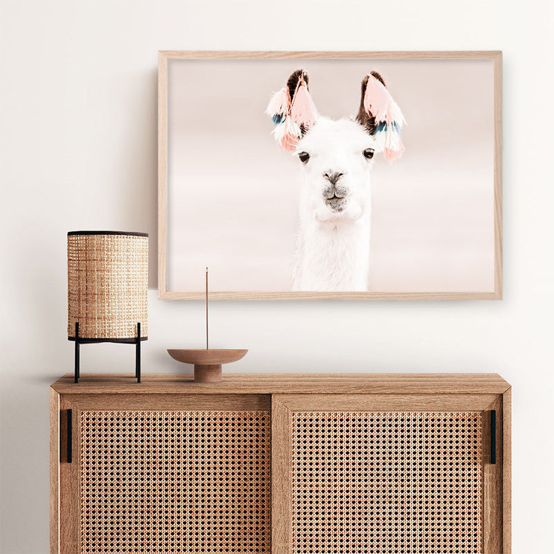 Shop Llama Photo Art Print a Moroccan desert boho themed photography wall art print from The Print Emporium wall artwork collection - Buy Australian made fine art poster and framed prints for the home and your interior decor room, TPE-556-AP