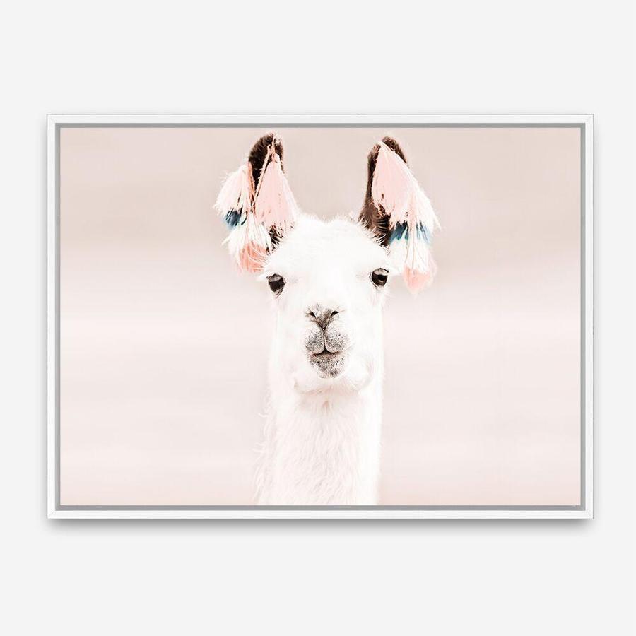 Shop Llama Photo Canvas Print a Moroccan desert boho themed photography framed stretched canvas print from The Print Emporium wall artwork collection - Buy Australian made prints for the home and your interior decor space, TPE-556-CA-35X46-NF
