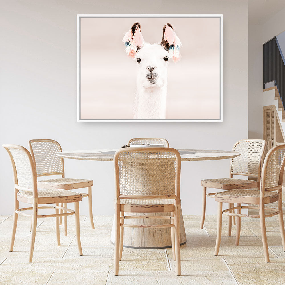 Shop Llama Photo Canvas Print a Moroccan desert boho themed photography framed stretched canvas print from The Print Emporium wall artwork collection - Buy Australian made prints for the home and your interior decor space, TPE-556-CA-35X46-NF