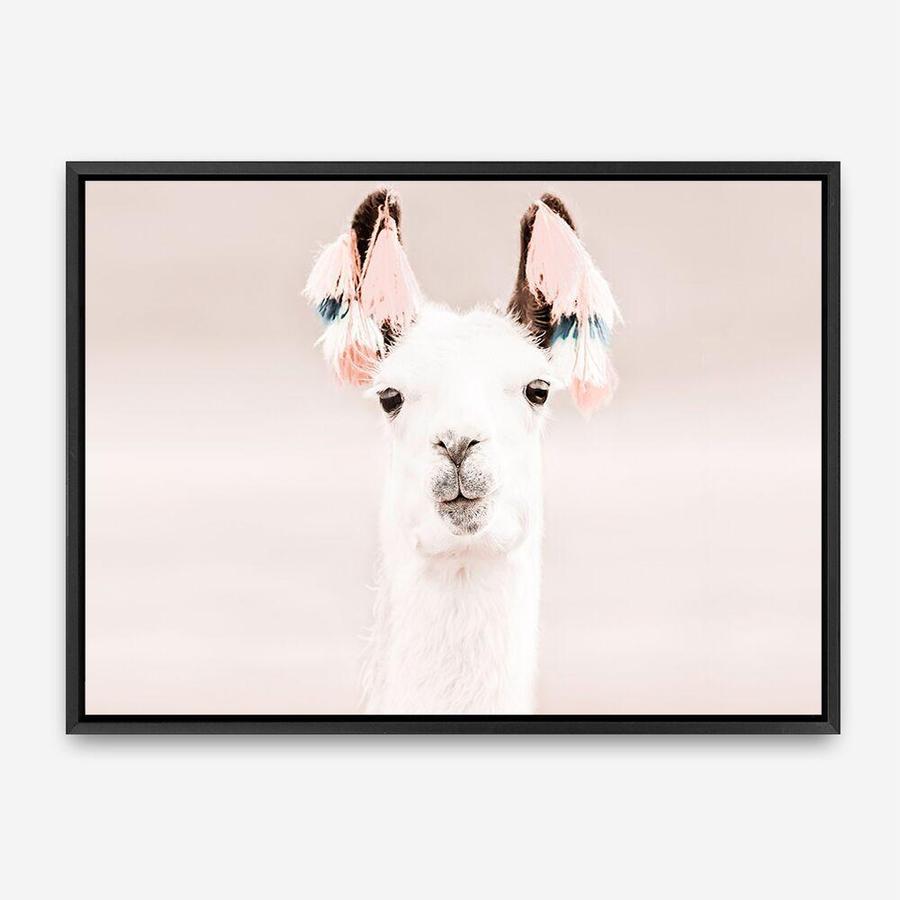 Shop Llama Photo Canvas Print a Moroccan desert boho themed photography framed stretched canvas print from The Print Emporium wall artwork collection - Buy Australian made prints for the home and your interior decor space, TPE-556-CA-35X46-NF