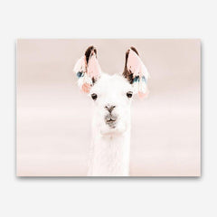 Shop Llama Photo Canvas Print a Moroccan desert boho themed photography framed stretched canvas print from The Print Emporium wall artwork collection - Buy Australian made prints for the home and your interior decor space, TPE-556-CA-35X46-NF