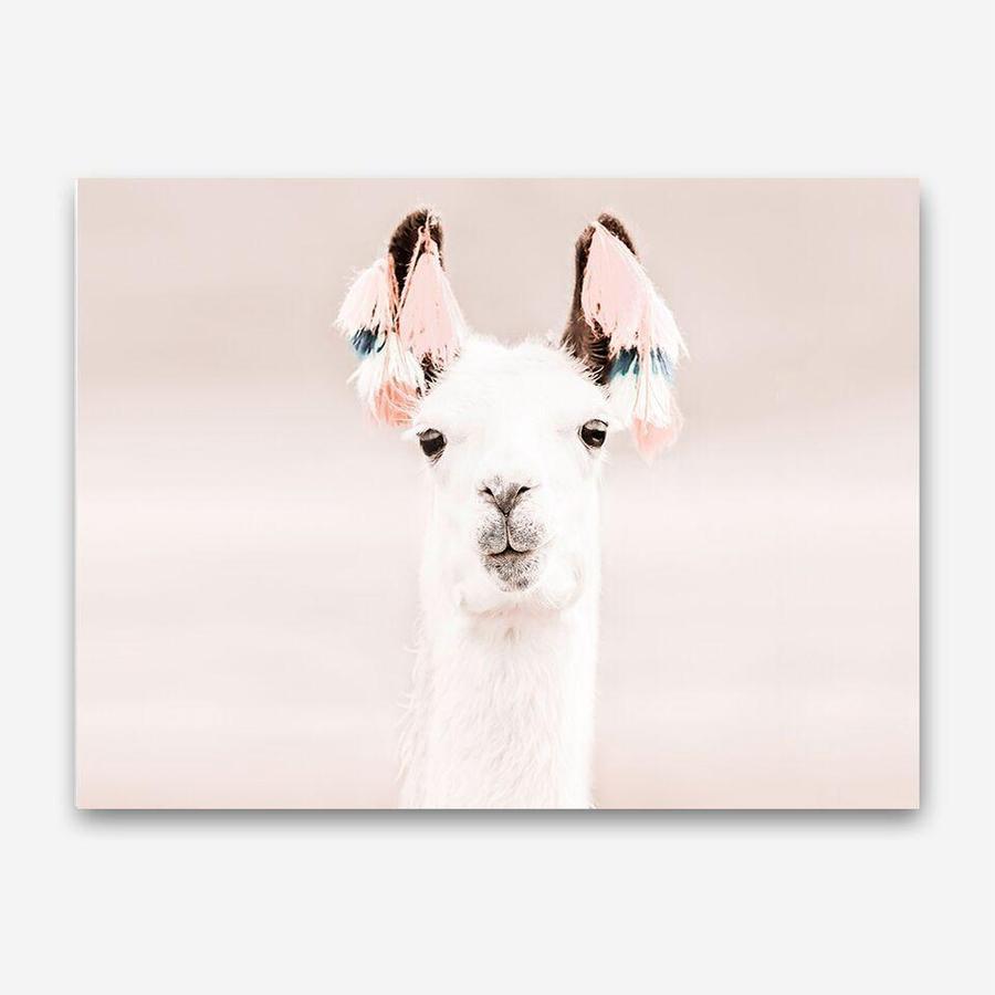 Shop Llama Photo Canvas Print a Moroccan desert boho themed photography framed stretched canvas print from The Print Emporium wall artwork collection - Buy Australian made prints for the home and your interior decor space, TPE-556-CA-35X46-NF