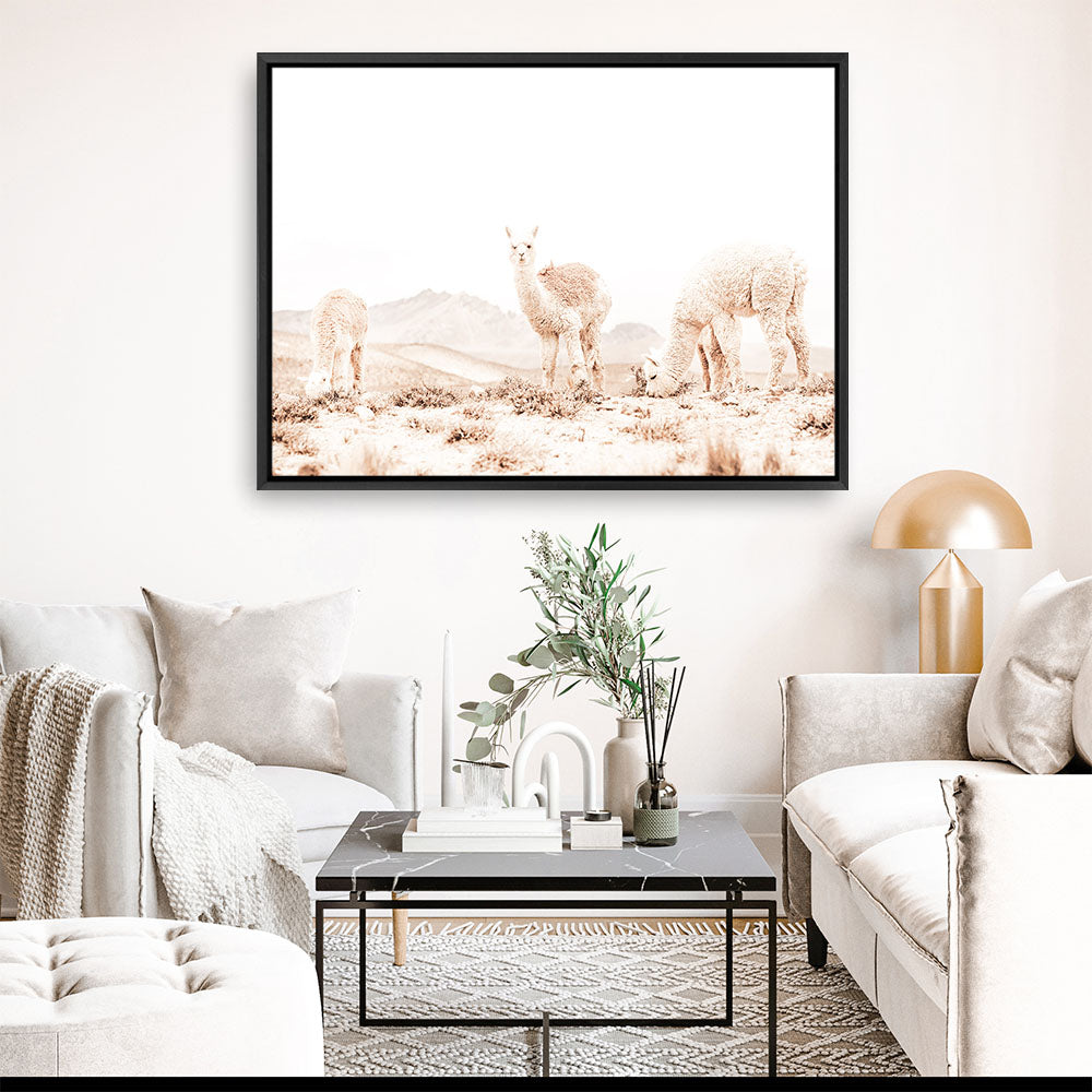 Shop Llamas Grazing Photo Canvas Print a Moroccan desert boho themed photography framed stretched canvas print from The Print Emporium wall artwork collection - Buy Australian made prints for the home and your interior decor space, TPE-506-CA-35X46-NF