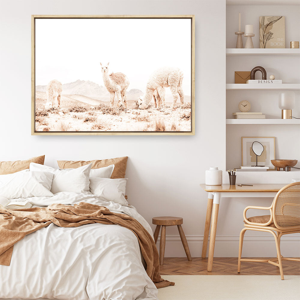 Shop Llamas Grazing Photo Canvas Print a Moroccan desert boho themed photography framed stretched canvas print from The Print Emporium wall artwork collection - Buy Australian made prints for the home and your interior decor space, TPE-506-CA-35X46-NF
