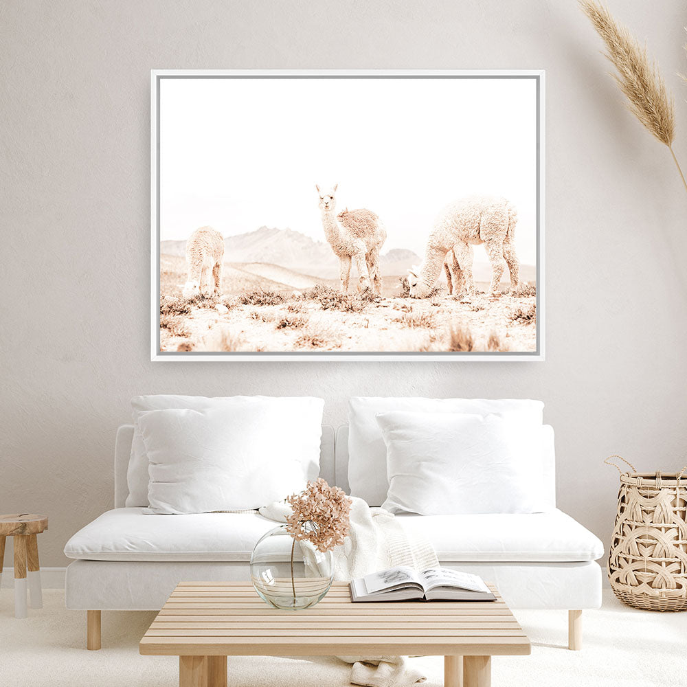 Shop Llamas Grazing Photo Canvas Print a Moroccan desert boho themed photography framed stretched canvas print from The Print Emporium wall artwork collection - Buy Australian made prints for the home and your interior decor space, TPE-506-CA-35X46-NF