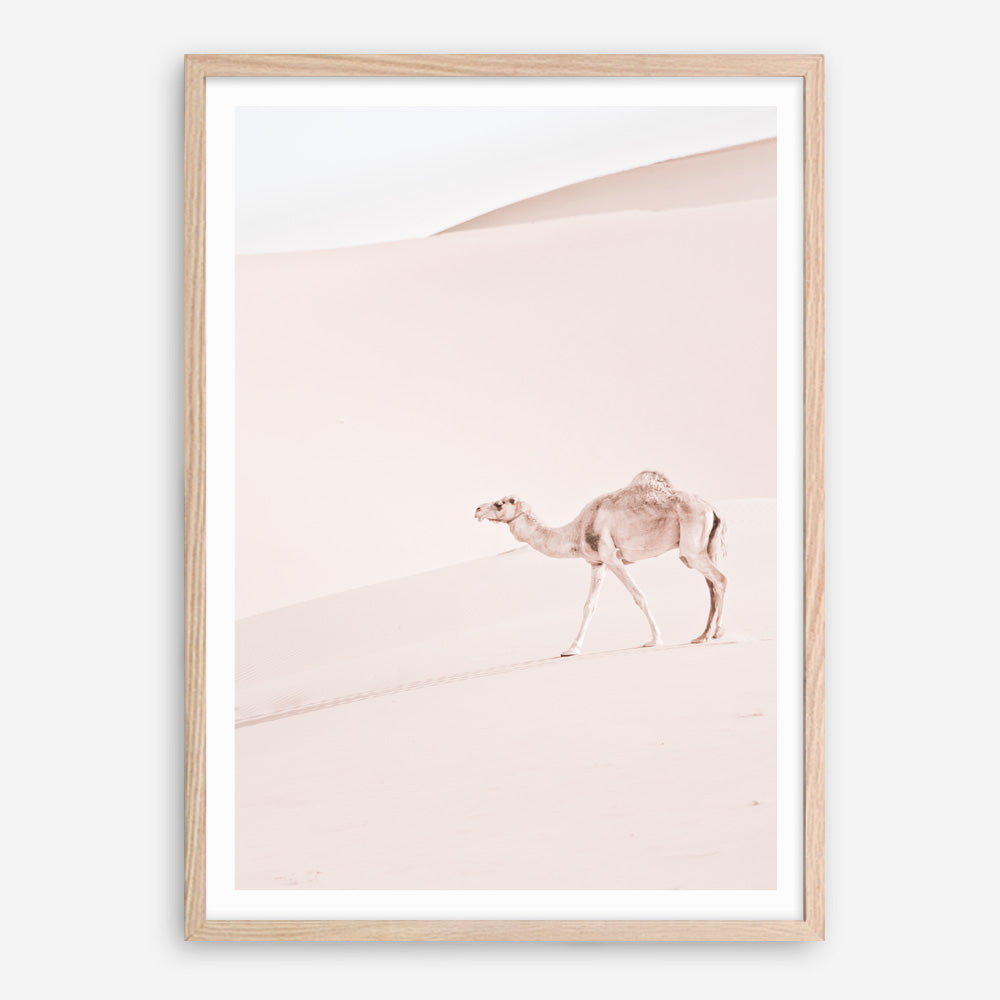 Shop Lone Camel II Photo Art Print a Moroccan desert boho themed photography wall art print from The Print Emporium wall artwork collection - Buy Australian made fine art poster and framed prints for the home and your interior decor room, TPE-829-AP