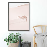 Shop Lone Camel II Photo Art Print a Moroccan desert boho themed photography wall art print from The Print Emporium wall artwork collection - Buy Australian made fine art poster and framed prints for the home and your interior decor room, TPE-829-AP