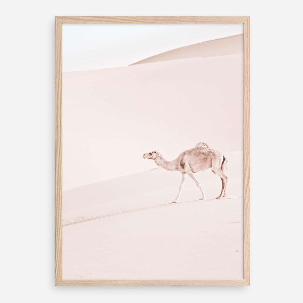 Shop Lone Camel II Photo Art Print a Moroccan desert boho themed photography wall art print from The Print Emporium wall artwork collection - Buy Australian made fine art poster and framed prints for the home and your interior decor room, TPE-829-AP