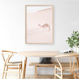 Shop Lone Camel II Photo Art Print a Moroccan desert boho themed photography wall art print from The Print Emporium wall artwork collection - Buy Australian made fine art poster and framed prints for the home and your interior decor room, TPE-829-AP
