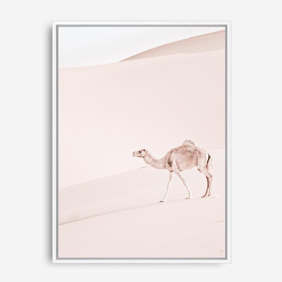 Shop Lone Camel II Photo Canvas Print a Moroccan desert boho themed photography framed stretched canvas print from The Print Emporium wall artwork collection - Buy Australian made prints for the home and your interior decor space, TPE-829-CA-35X46-NF