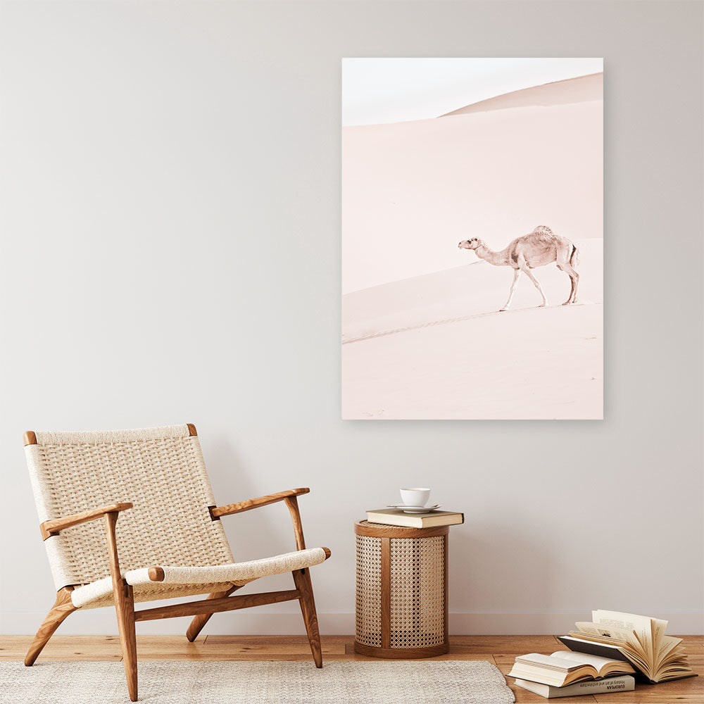 Shop Lone Camel II Photo Canvas Print a Moroccan desert boho themed photography framed stretched canvas print from The Print Emporium wall artwork collection - Buy Australian made prints for the home and your interior decor space, TPE-829-CA-35X46-NF