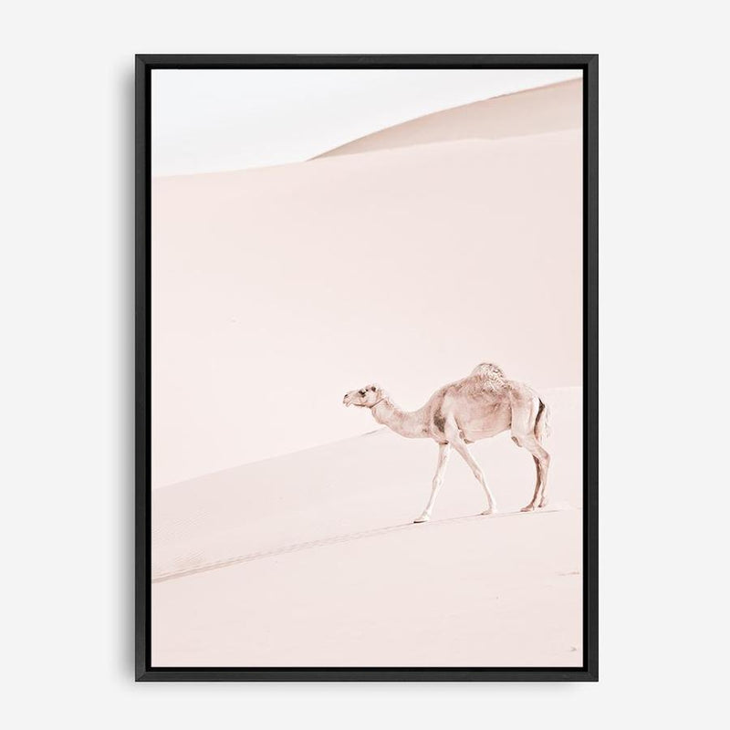 Shop Lone Camel II Photo Canvas Print a Moroccan desert boho themed photography framed stretched canvas print from The Print Emporium wall artwork collection - Buy Australian made prints for the home and your interior decor space, TPE-829-CA-35X46-NF