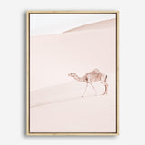 Shop Lone Camel II Photo Canvas Print a Moroccan desert boho themed photography framed stretched canvas print from The Print Emporium wall artwork collection - Buy Australian made prints for the home and your interior decor space, TPE-829-CA-35X46-NF