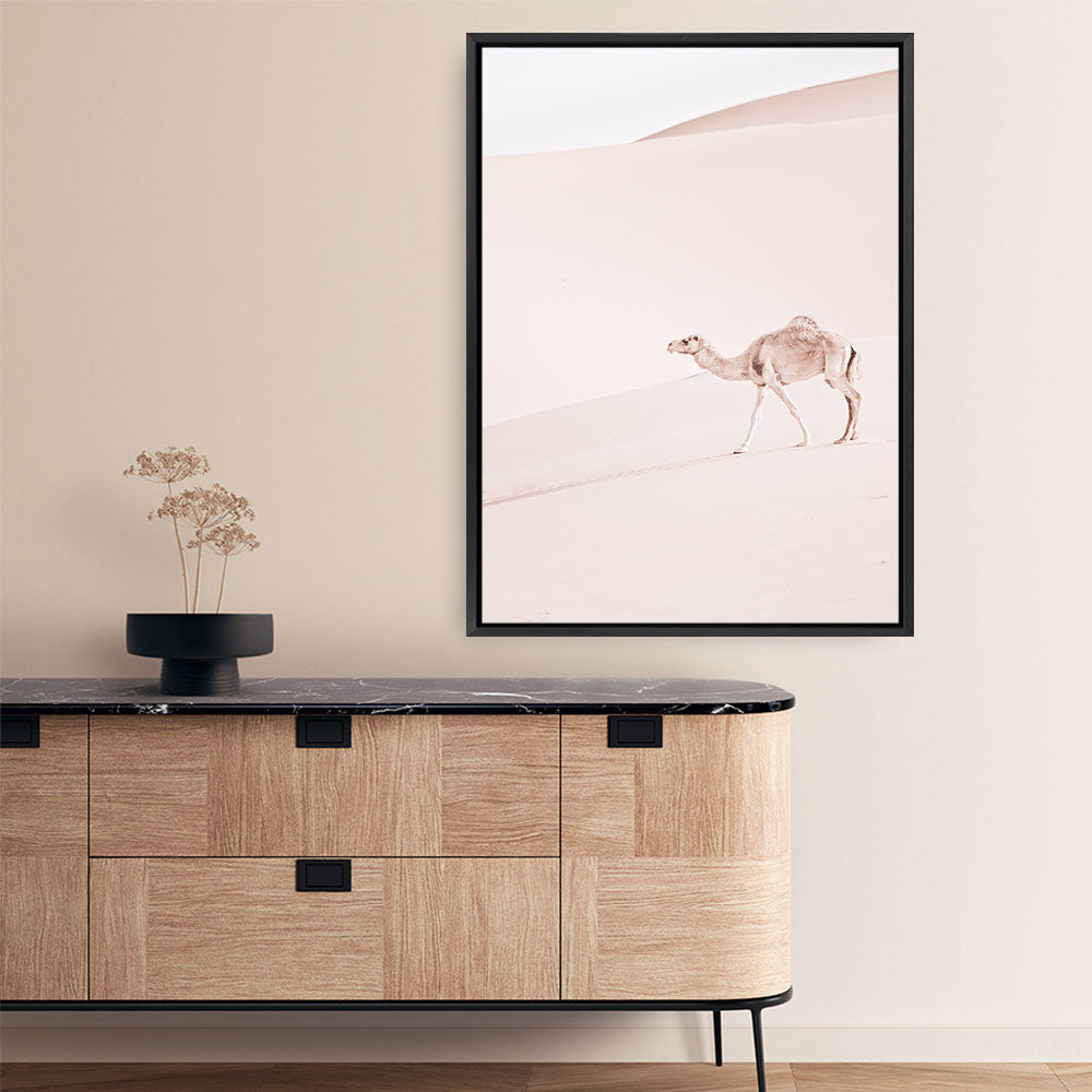 Shop Lone Camel II Photo Canvas Print a Moroccan desert boho themed photography framed stretched canvas print from The Print Emporium wall artwork collection - Buy Australian made prints for the home and your interior decor space, TPE-829-CA-35X46-NF