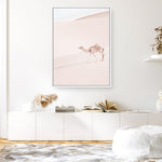 Shop Lone Camel II Photo Canvas Print a Moroccan desert boho themed photography framed stretched canvas print from The Print Emporium wall artwork collection - Buy Australian made prints for the home and your interior decor space, TPE-829-CA-35X46-NF