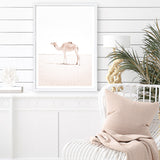 Shop Lone Camel III Photo Art Print a Moroccan desert boho themed photography wall art print from The Print Emporium wall artwork collection - Buy Australian made fine art poster and framed prints for the home and your interior decor room, TPE-834-AP