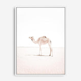 Shop Lone Camel III Photo Canvas Print a Moroccan desert boho themed photography framed stretched canvas print from The Print Emporium wall artwork collection - Buy Australian made prints for the home and your interior decor space, TPE-834-CA-35X46-NF