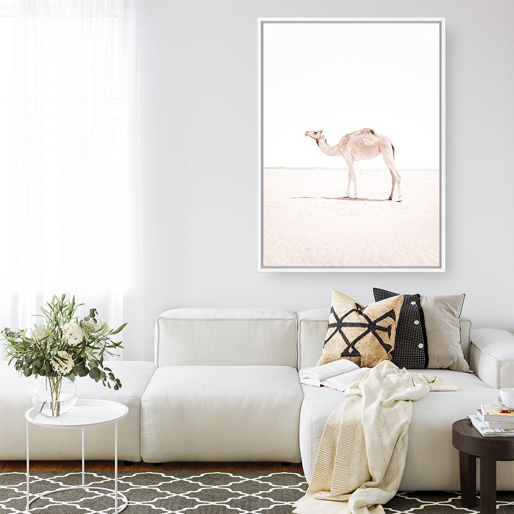 Shop Lone Camel III Photo Canvas Print a Moroccan desert boho themed photography framed stretched canvas print from The Print Emporium wall artwork collection - Buy Australian made prints for the home and your interior decor space, TPE-834-CA-35X46-NF