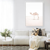 Shop Lone Camel III Photo Canvas Print a Moroccan desert boho themed photography framed stretched canvas print from The Print Emporium wall artwork collection - Buy Australian made prints for the home and your interior decor space, TPE-834-CA-35X46-NF