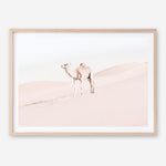 Shop Lone Camel Photo Art Print a Moroccan desert boho themed photography wall art print from The Print Emporium wall artwork collection - Buy Australian made fine art poster and framed prints for the home and your interior decor room, TPE-828-AP