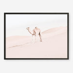 Shop Lone Camel Photo Art Print a Moroccan desert boho themed photography wall art print from The Print Emporium wall artwork collection - Buy Australian made fine art poster and framed prints for the home and your interior decor room, TPE-828-AP