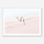 Shop Lone Camel Photo Art Print a Moroccan desert boho themed photography wall art print from The Print Emporium wall artwork collection - Buy Australian made fine art poster and framed prints for the home and your interior decor room, TPE-828-AP