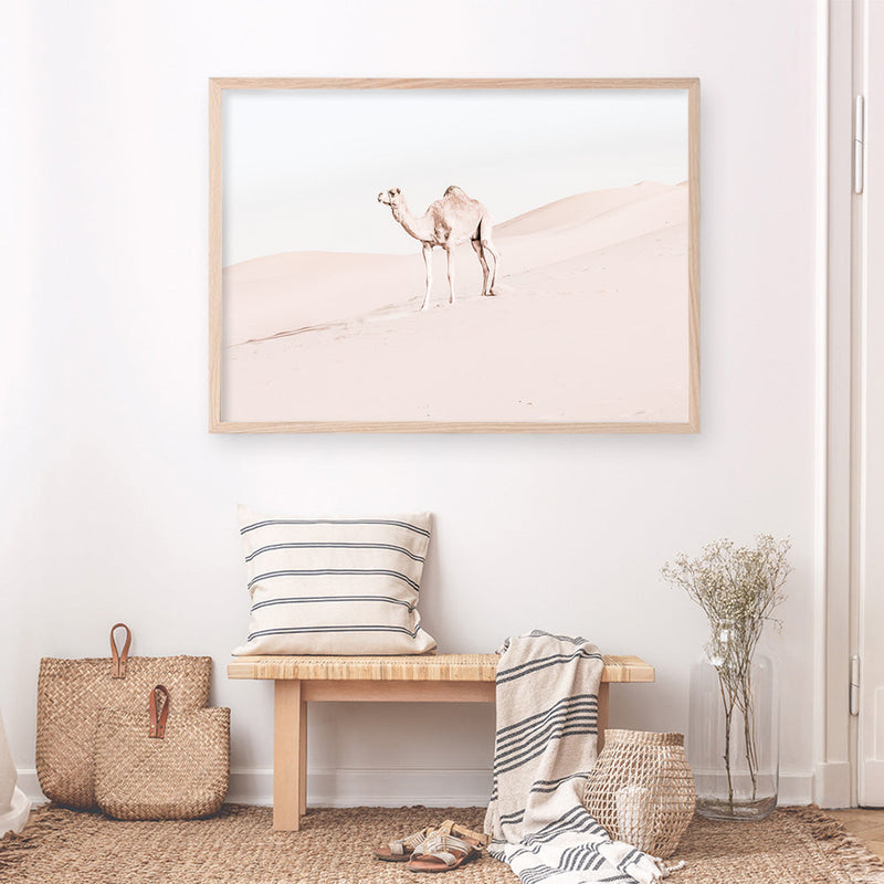 Shop Lone Camel Photo Art Print a Moroccan desert boho themed photography wall art print from The Print Emporium wall artwork collection - Buy Australian made fine art poster and framed prints for the home and your interior decor room, TPE-828-AP