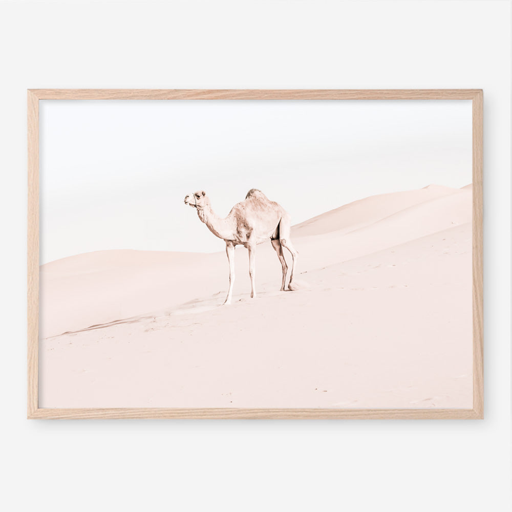 Shop Lone Camel Photo Art Print a Moroccan desert boho themed photography wall art print from The Print Emporium wall artwork collection - Buy Australian made fine art poster and framed prints for the home and your interior decor room, TPE-828-AP