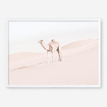 Shop Lone Camel Photo Art Print a Moroccan desert boho themed photography wall art print from The Print Emporium wall artwork collection - Buy Australian made fine art poster and framed prints for the home and your interior decor room, TPE-828-AP