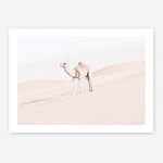 Shop Lone Camel Photo Art Print a Moroccan desert boho themed photography wall art print from The Print Emporium wall artwork collection - Buy Australian made fine art poster and framed prints for the home and your interior decor room, TPE-828-AP
